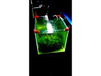 Aquarium cover holder (support couvercle pour aquarium) by vyx