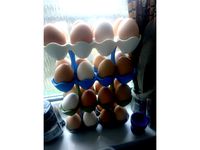 Stackable Egg Storage Rack by ollienor