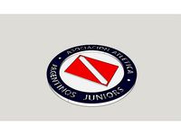 Escudo Argentinos Juniors by danebrosio