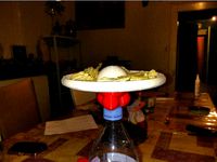 aperitif flying saucer by spiriteom