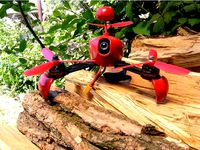 Tricikli  mini  FPV tricopter ZMR250 conversion by _hori