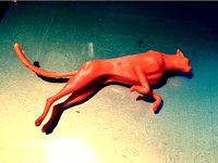 Cheetah with stand by makira