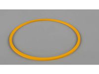 Nylon Ring for Yamaha Raptor One-Way Bearing by LT1428