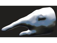 Take a Closer Look At That Snout! (First Sculpt) (Elephant Shrew) by Tyrdle