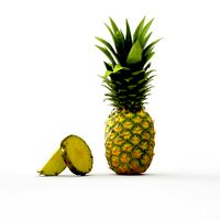 Pineapple Ananas Comosus