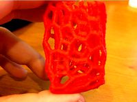 Voronoi Printer Test by Tyrdle