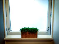 Large Rectangular Flower Pot by handya