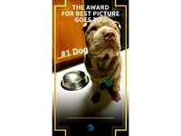 number one dog by frendy