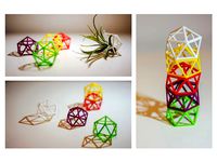 Air plant pot by atry