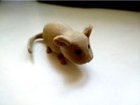 Chinchilla by _Red