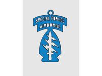 Special Forces Ornament by scienceplayhouse