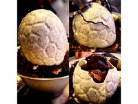 Dino Egg Mold by Poh