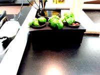 Convertible Hydroponic Garden Set by SPEMAStallions