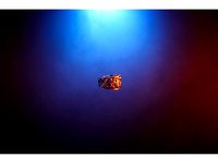 Ring - Vikings 3D Prophecy - Season 4 Episode 18 - Revenge by 3DBROOKLYN