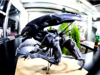 Alien Queen by sandun