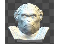 MAGNET CAESAR by EmreTufanoglu