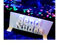 Send Nudes Meme by lcorral9