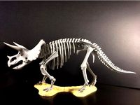 Triceratops prorsus Skeleton by rowiac