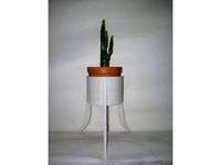 Chinese Cup Planter by MartianMonk