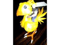Chocobo by arurmey