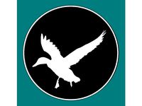 Duck in Flight by wslab