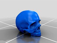 skull by jordan250