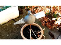 Pigeon Decoy Wings by DTU_Viking