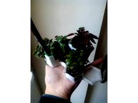 Polygonal pot remix with pencil holder by mr_unio