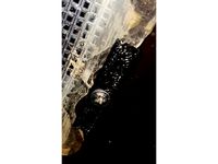 Extraction Fan Light repair by futurenow