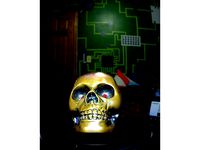 COSI Adventure Skull by trentmoore73