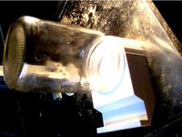 Bee Feeder - Customizable by TheHeadlessSourceMan