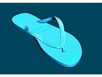 Flip Flop Havaianas_Chinelo_brazilian product by William_Additive