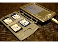 Palm Tungsten E - cover by Doupem