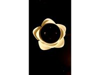 Echo Dot Flower Holder by Curadh13