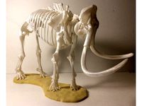 Woolly Mammoth Skeleton by rowiac