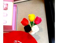 Printable Rose with renforced stem by dadothecube