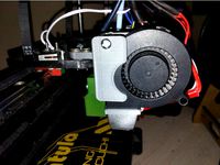 FAN TEVO TARANTULA by llprokall