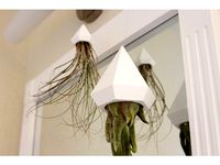 Air Plant Holder by MatiasLikesToMakeThings