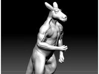 kangaroo by max7th