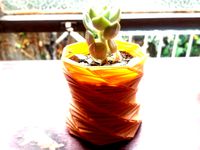 Planter V3 by Keagan_Exsteen