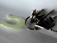 Horseshoe Keychain by catf