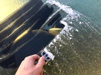 3D Printed Keyring Ice Scraper by EarlPrinter