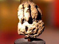 A severed head by GeoffreyMarchal