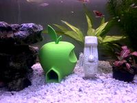 Apple Fish House by Pator12