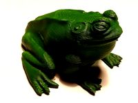 Bull Frog (Ochsenfrosch) by Nr5Alive