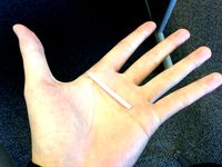 THE LID AND THE SHAFT by SushiSlices