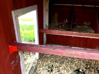 Chicken Coop Perch by JD_Printing