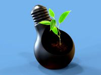 Plantpot by rcatswiss