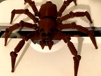 Wolf Spider by MajorOCD
