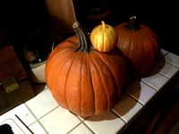Einscanned Pumpkin by TobyCWood